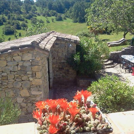 Bed and Breakfast Le Relais De Vazeille Saint-Maurice-dʼIbie Esterno foto